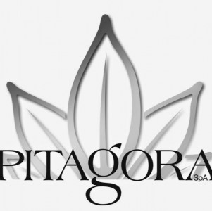 logo pitagora